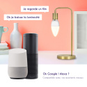 Ampoule connectée Bulbby F
